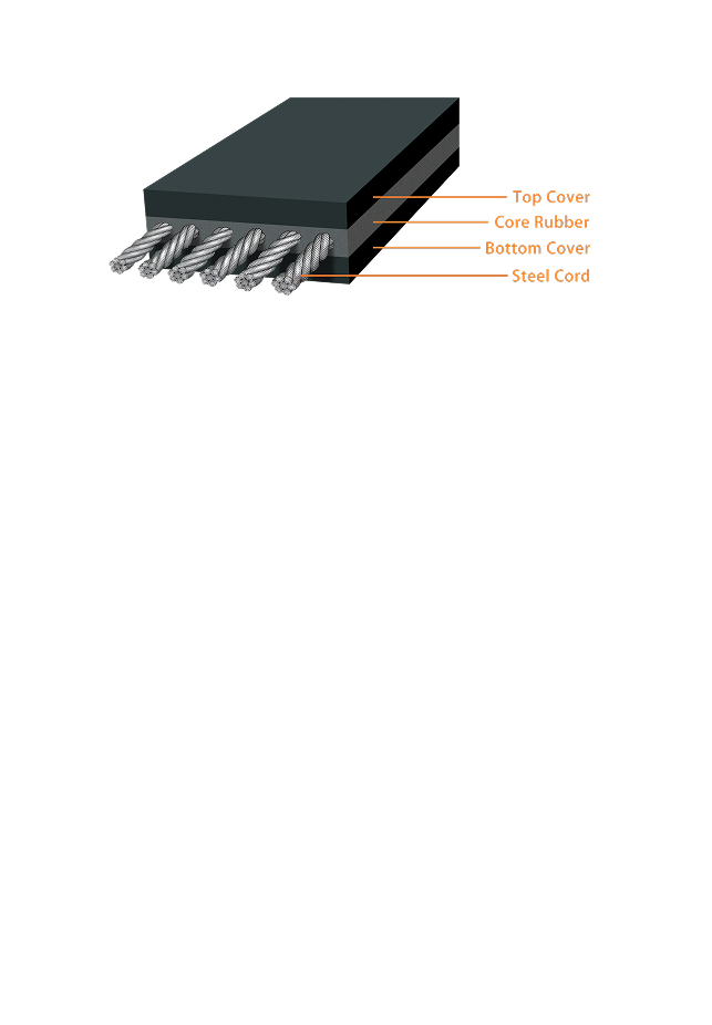 Belt cross section diagram