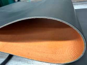 Dry-back belt cross section