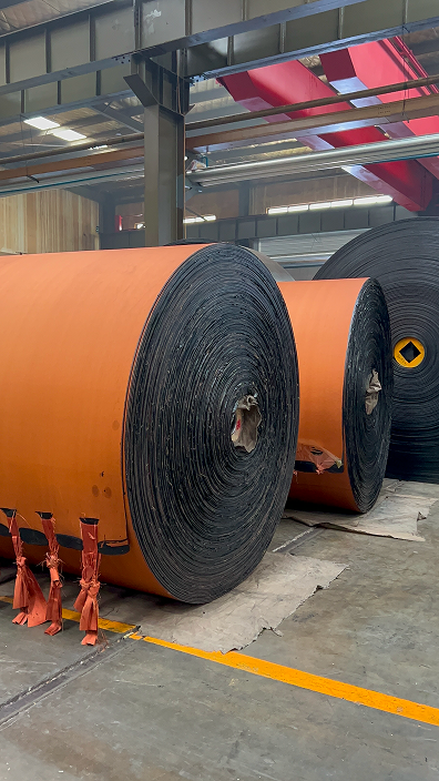 Dry-back belt detail