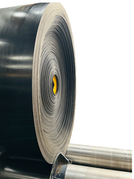 Professional expertise